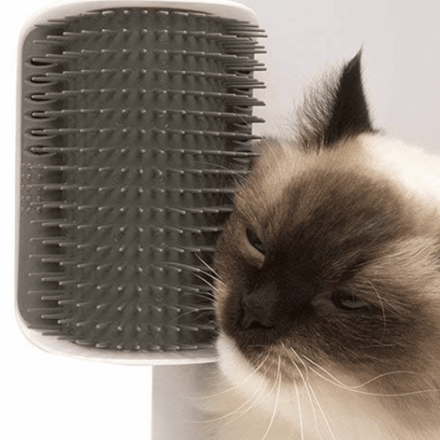 SCRAPER CORNER - Angolo massaggio a parete per gatti