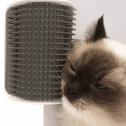 SCRAPER CORNER - Angolo massaggio a parete per gatti