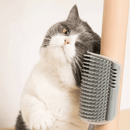 SCRAPER CORNER - Angolo massaggio a parete per gatti