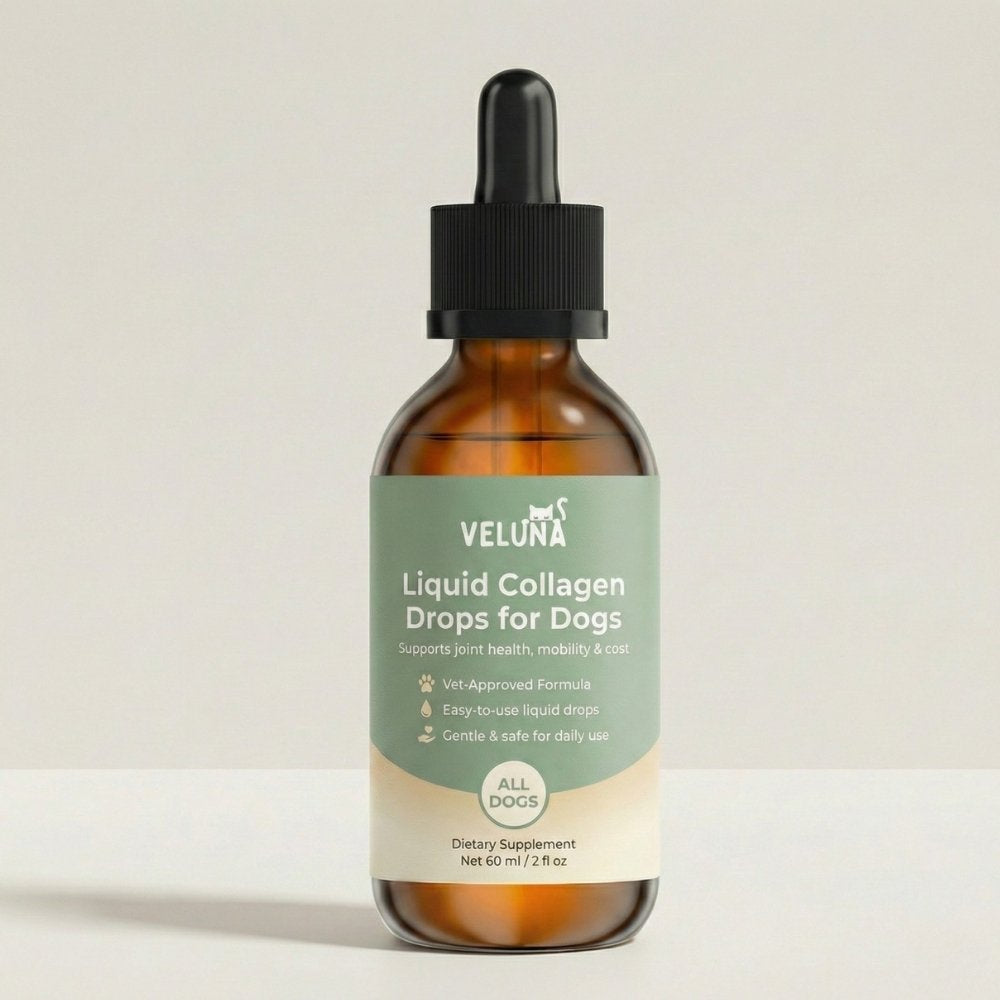 Collagene Liquido Premium Veluna per Cani