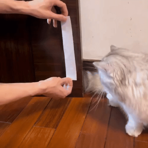 Porta per gatti senza trapano